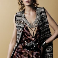Desert Rose 4